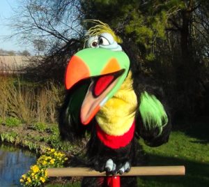 Oz The Toucan